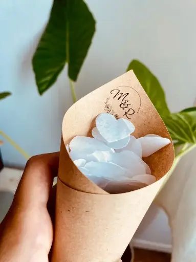 Cono de petalos/confeti civil o ceremonia